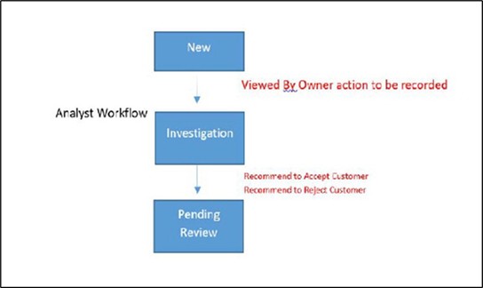 Analyst Workflow