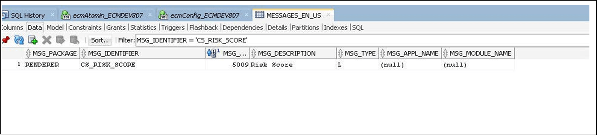 This image shows the MESSAGES_EN_US table fields. This image shows the MESSAGES_EN_US table fields.