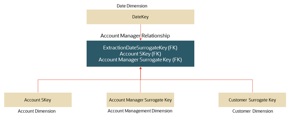 This illustration depicts the Fact Account Manager Relationship.
