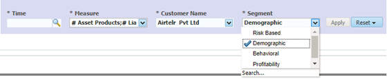 This report displays the various filter options to generate the Customer 360 reports.