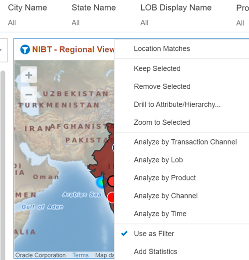 This illustration displays the Geographical View filter of NIBT Regional View.