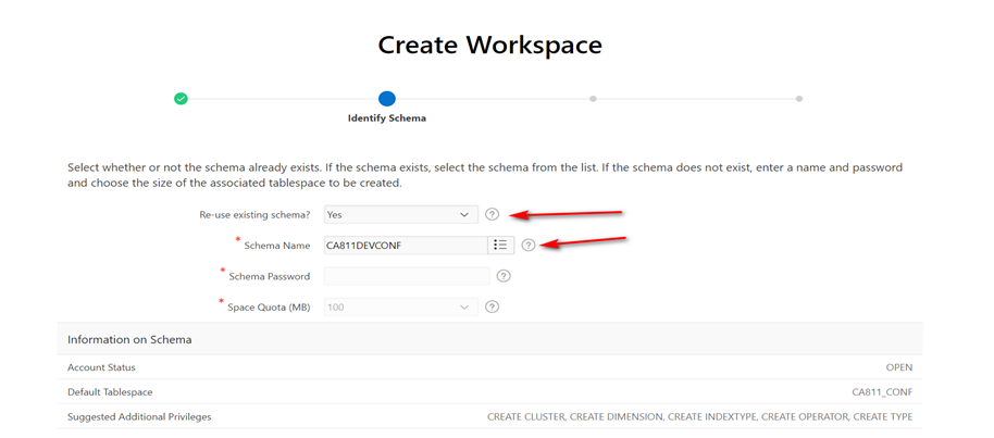 Create Workspace – Identify Schema