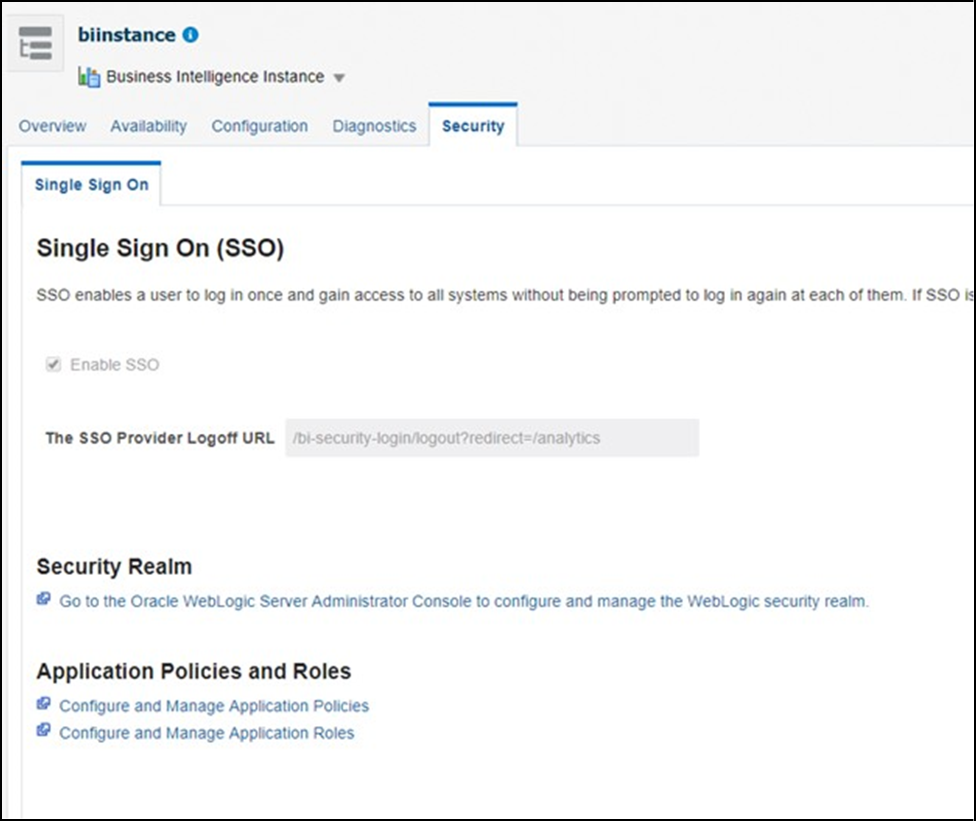 The security tab in the biibstance screen allows you to configure and manage the application roles.
