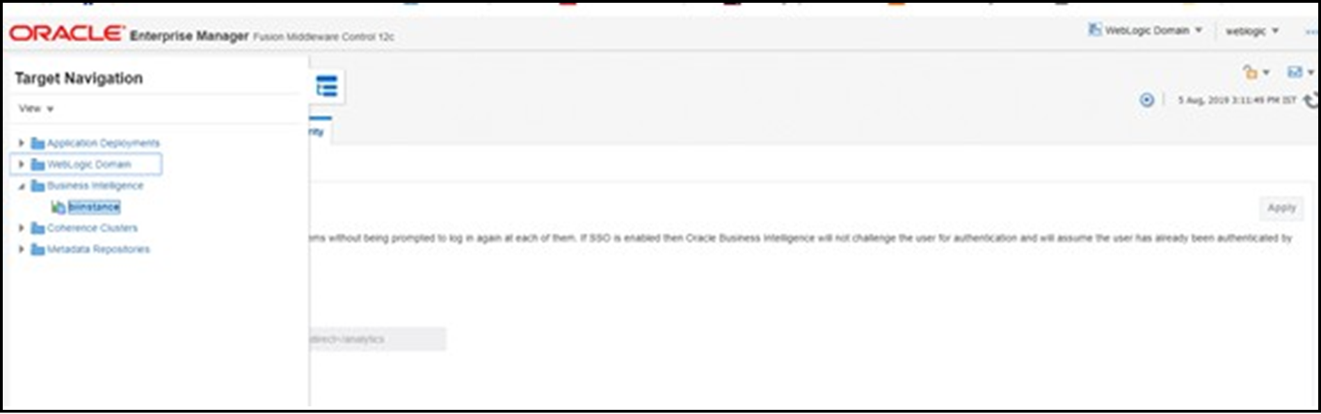 This screen allows you to select the BI instance.