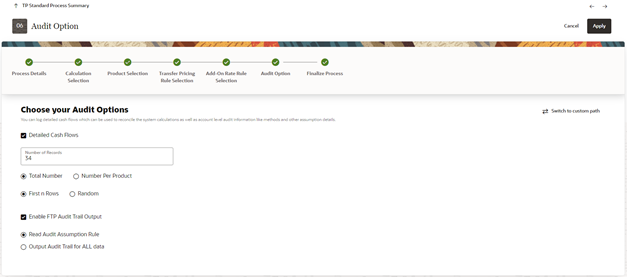 Audit Option Audit Option