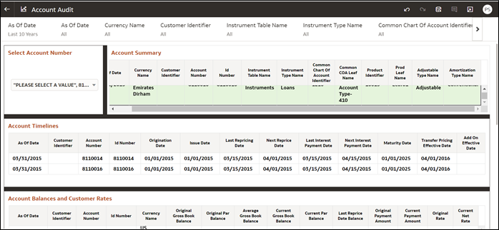 Account Audit Report