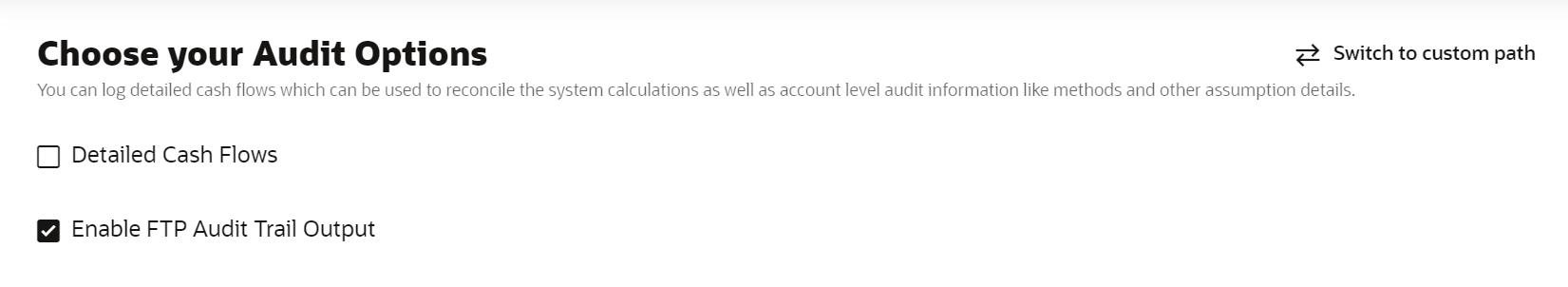 Audit Option