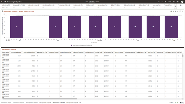 The Management Ledger04 Report provides the analysis capability on the Placeholder Management Ledger 04 Table.