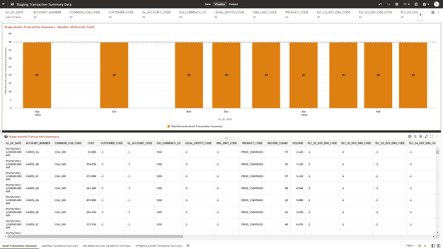 This report provides the analysis capability on the Stage Assets Transaction Summary Table.