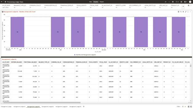 The Management Ledger02 Report provides the analysis capability on the Placeholder Management Ledger 02 Table.