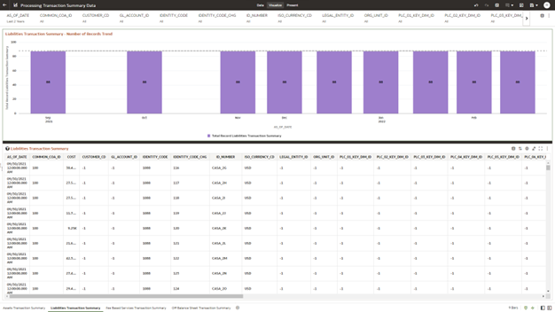 The Liabilities Transaction Summary Report provides the analysis capability on the Liability Transaction Summary Table.