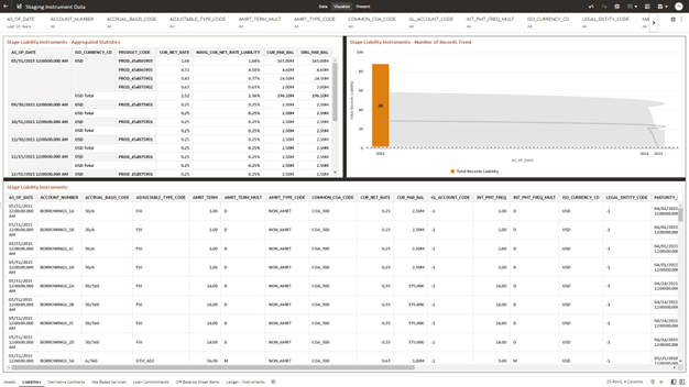 Staging Instrument Data - Liabilities