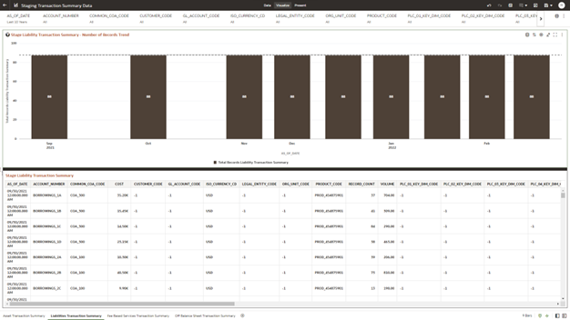 The Liabilities Transaction Summary Report provides the analysis capability on the Stage Liability Transaction Summary Table.