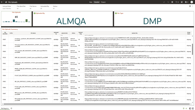 File Upload Report File Upload Report