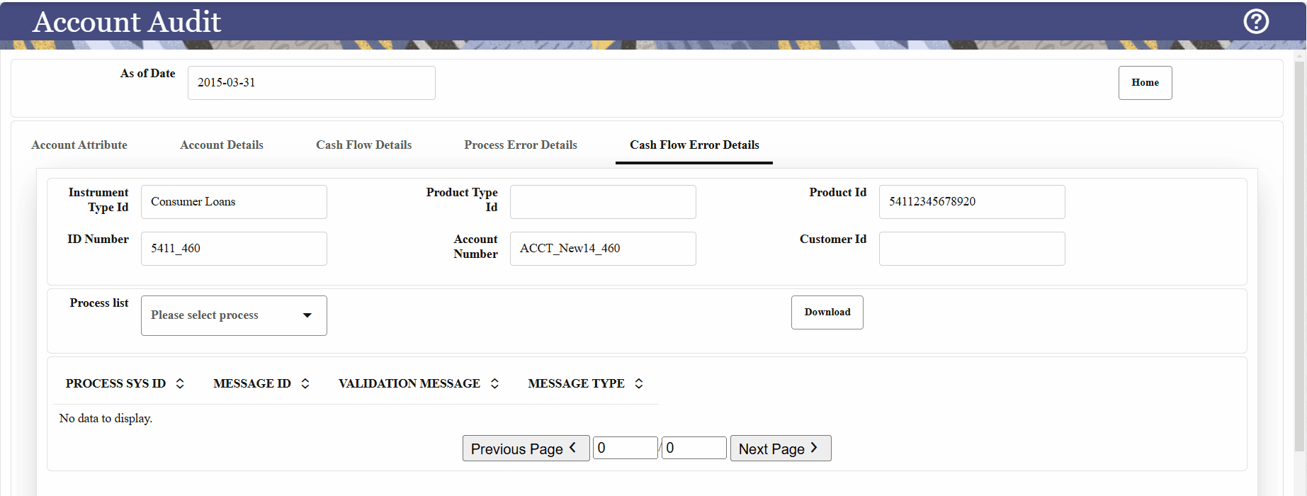 Cash Flow Error Details tab Cash Flow Error Details tab