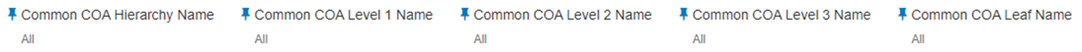Canvas Prompt Filters for Common COA Key Processing Dimension
