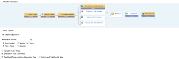 This screen allows you to select the Audit Options for the Standard Process.