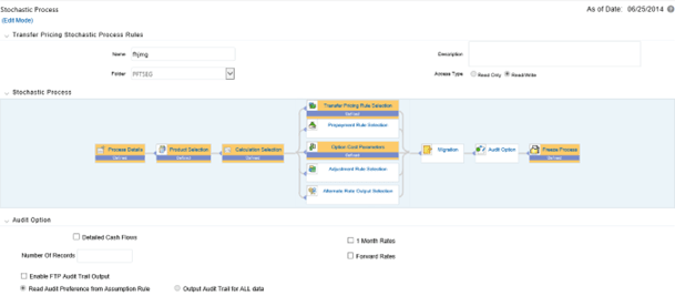 This screen allows you to select the Audit Options for the Stochastic Process.