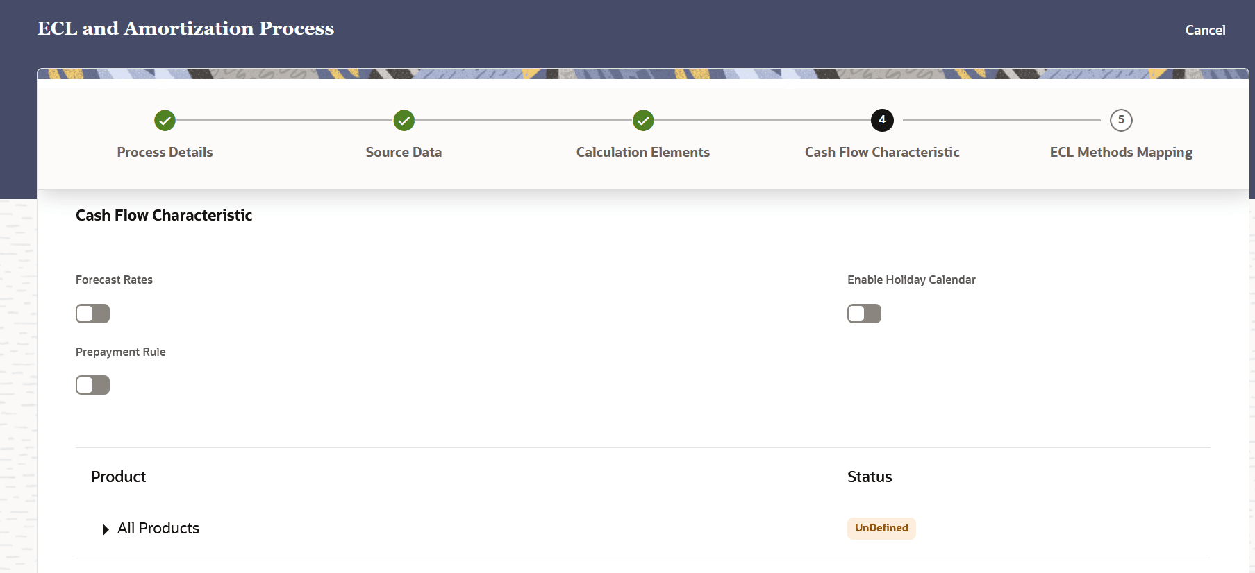The Cash Flow Characteristic Page