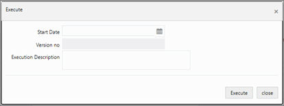 The Execute Window
