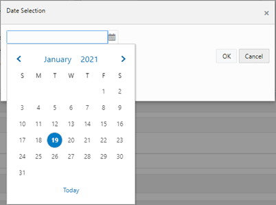The Date Selection Window The Date Selection Window