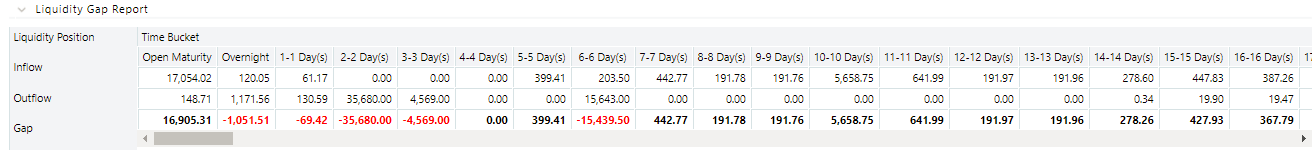 Liquidity Gap Report