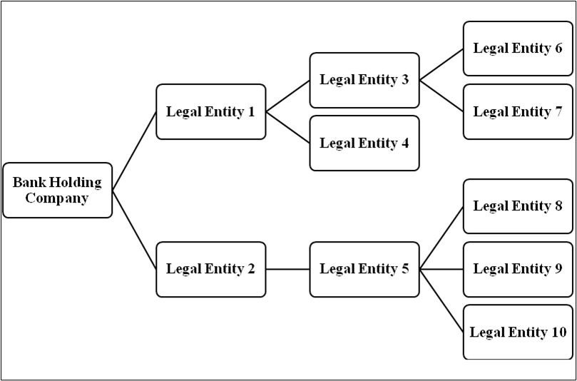 Organization Structure
