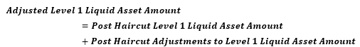 Adjusted level 1 liquid asset amount