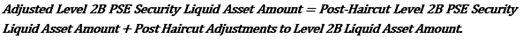 Adjusted level 2B PSE security liquid asset amount
