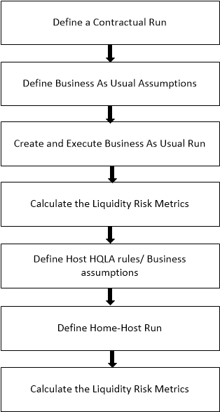This image displays the Process Flow-Home or Host Run.