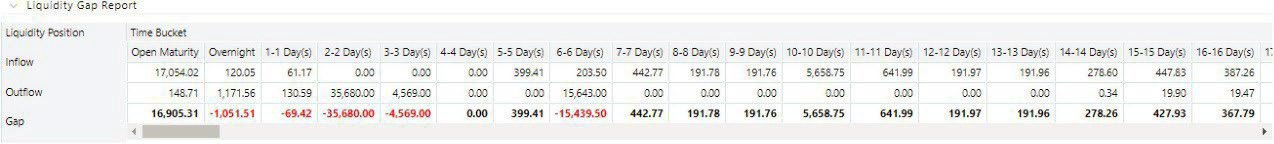 This image displays the Liquidity Gap Report\