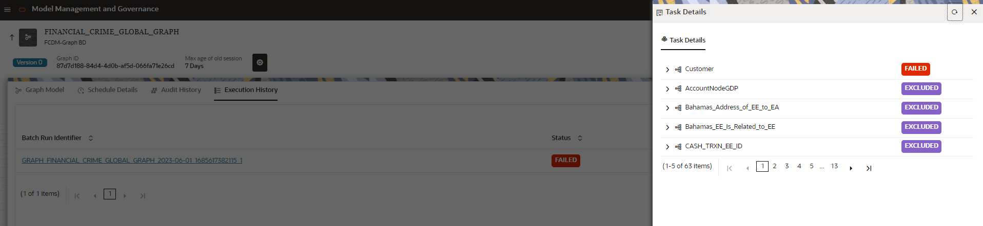 This image displays the Execution History page.
