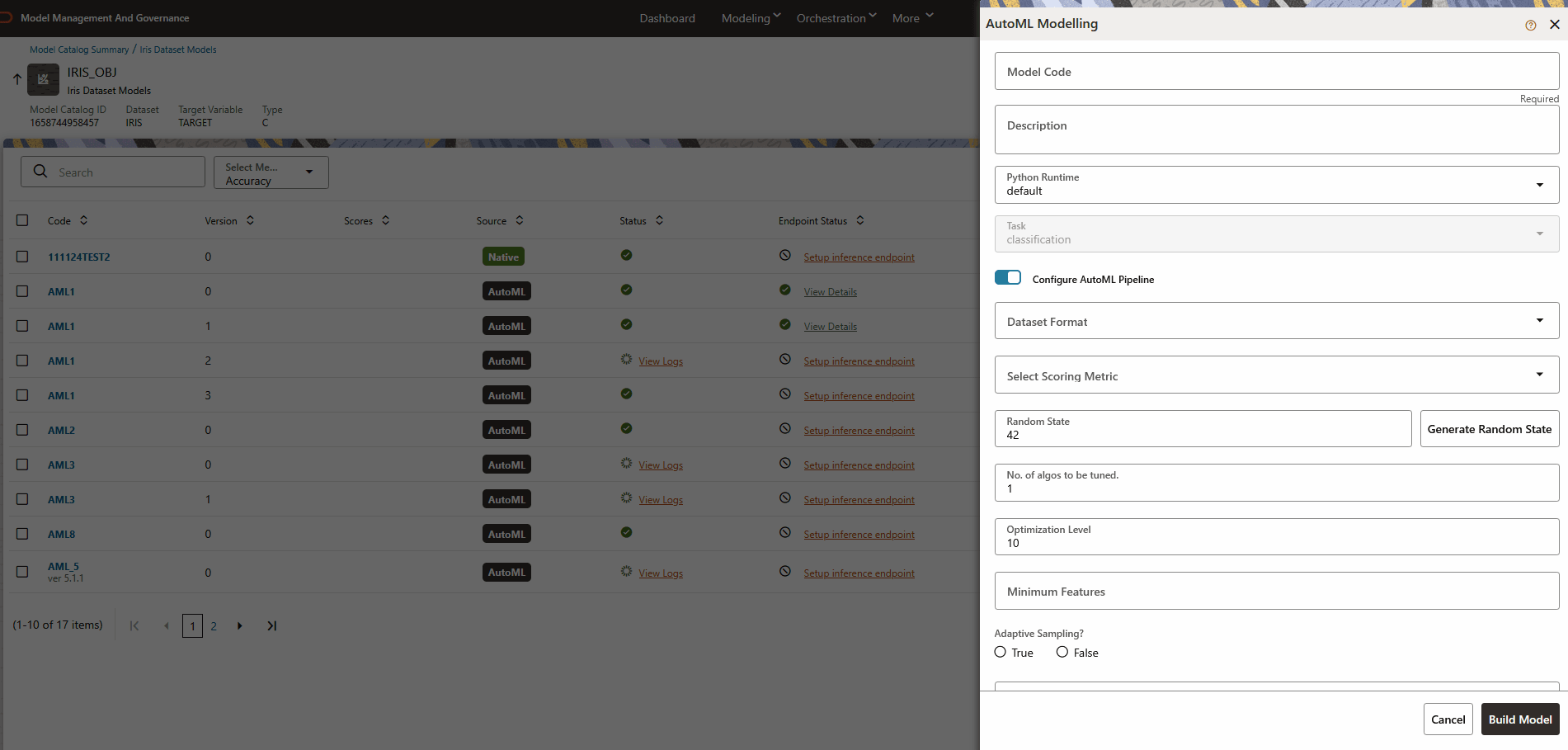 This image displays the Build via AutoML.