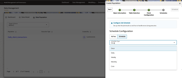 This image displays the Schedule Type options.