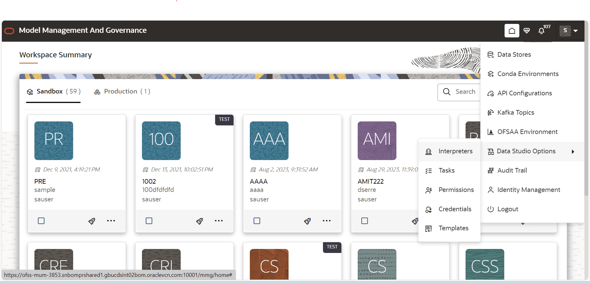 This image displays the Datastudio Options tab.