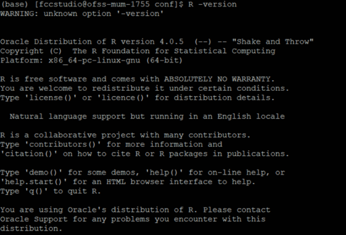 R Interpreter
