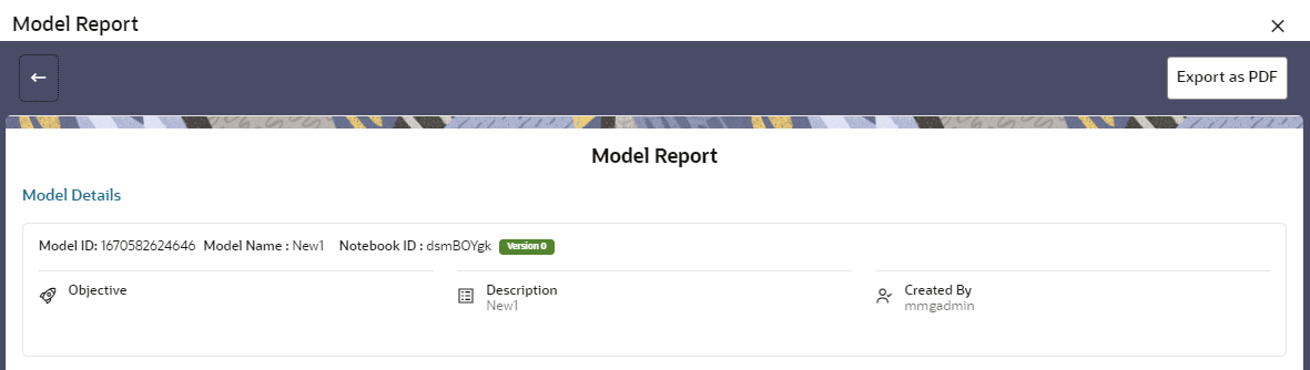 This image displays the Model Report.