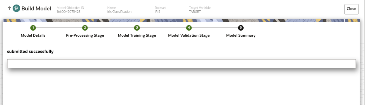 This image displays the Model Summary screen.