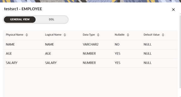 This image displays the Data Definition Language View