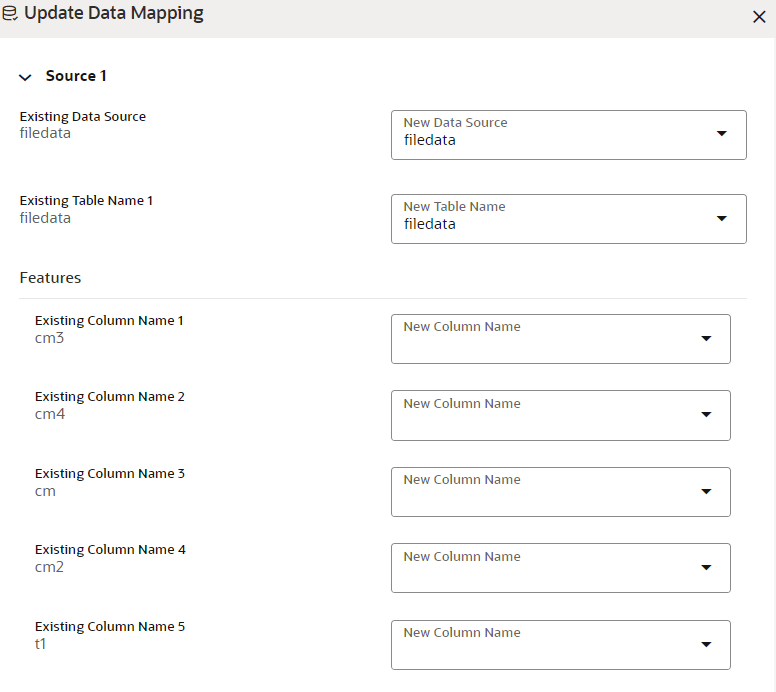 This image displays Update Data Mapping page.