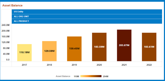 This image displays the Asset Balance.