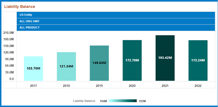 This image displays the Liability Balance.