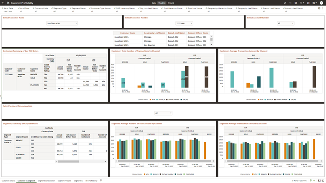 Canvas Customer vs Segment