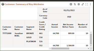 Report – Customer : Summary Key Attributes