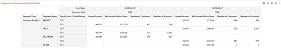 Report : Segment Summary Key Attributes