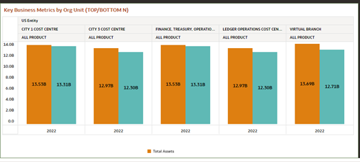 Key Business Metrics by Org Unit (TOP/BOTTOM N)