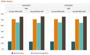 Report - Other Ratios