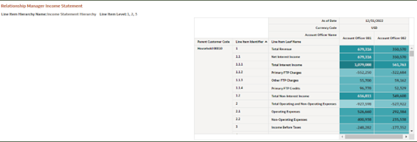 Report - Relationship Manager Income Statement