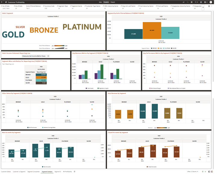 Canvas Segment Analysis