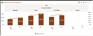 Report - Closed Accounts by Segment